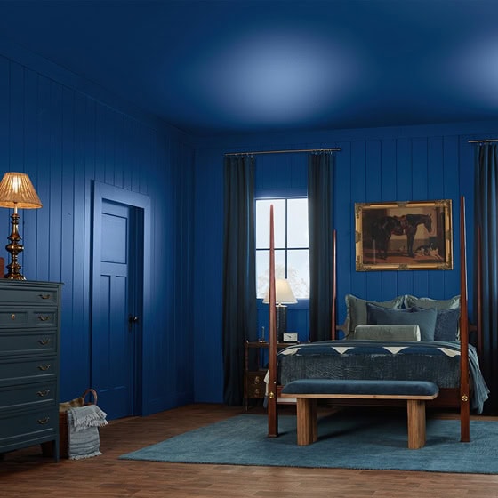 Valspar's Blue