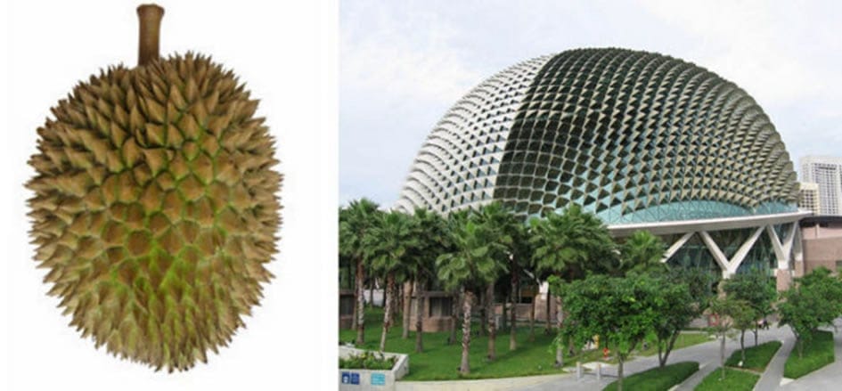 nature-source-inspiration-decoration-design-2025-biomimicry