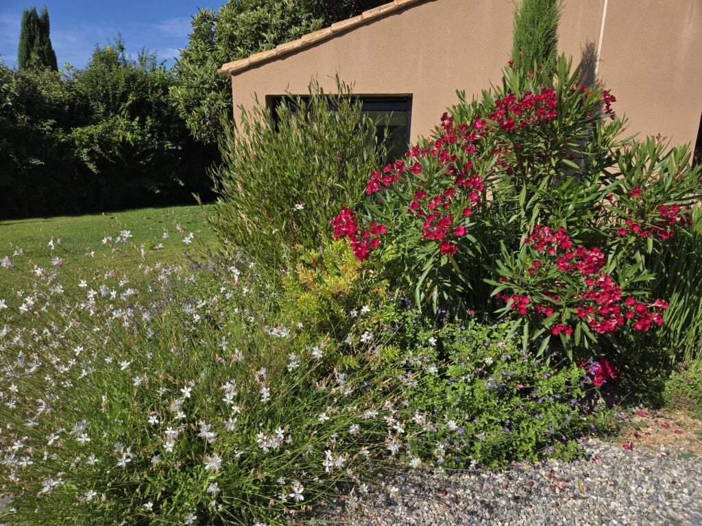 Provençal garden in France illustrating French landscape design and garden styling principles